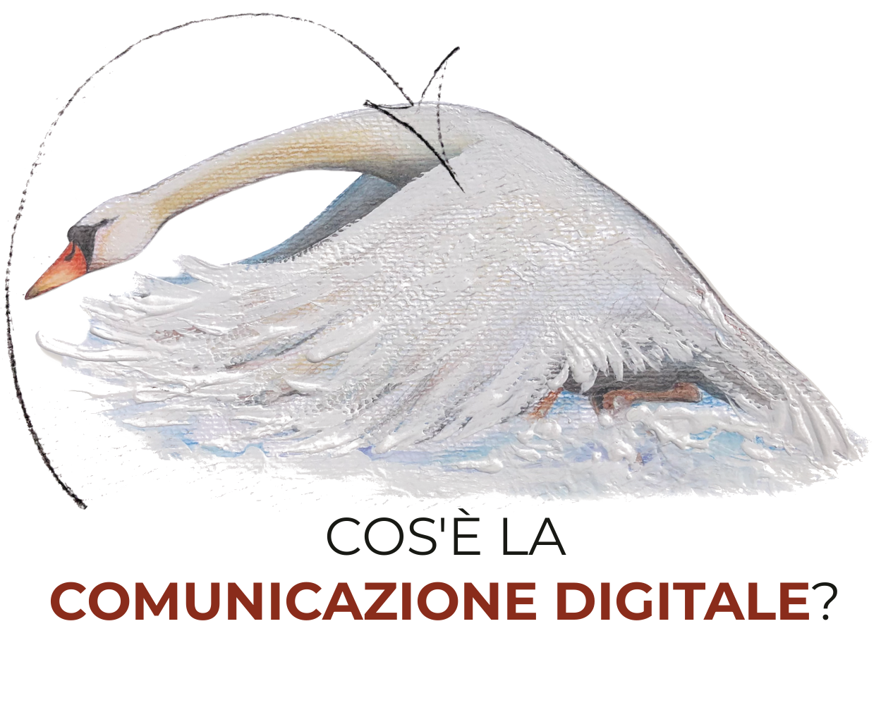 il cigno digitale