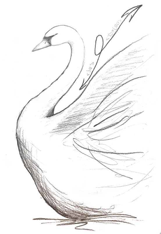 il cigno digitale siti web a Como 2 il cigno digitale siti web a como