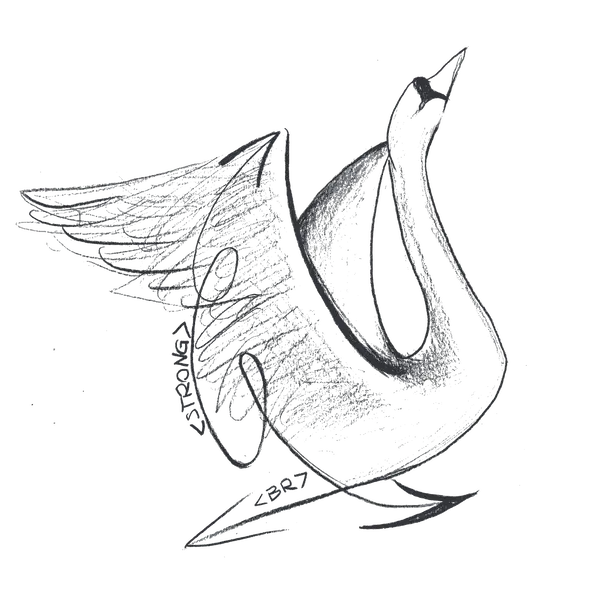 il cigno digitale siti web a Como